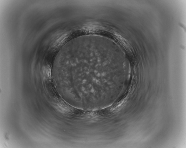 X0000096431155200801241332