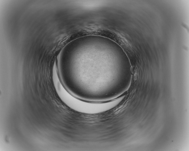 X0000096431156200801241332