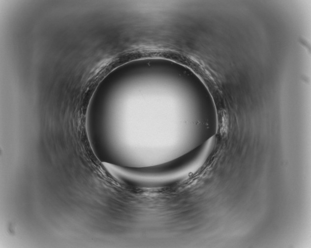 X0000096431157200801241332
