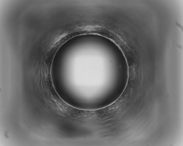 X0000096431158200801241332