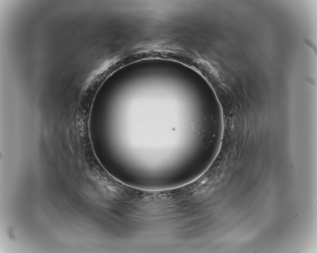 X0000096431159200801241332