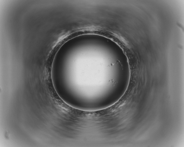 X0000096431160200801241332