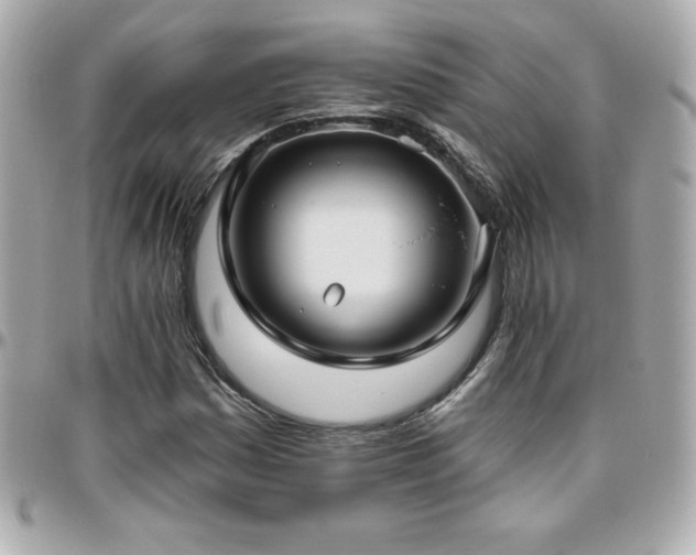 X0000096431161200801241332