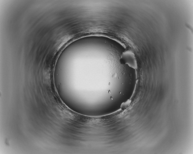 X0000096431162200801241332