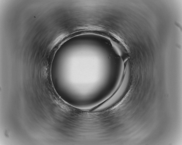 X0000096431163200801241332