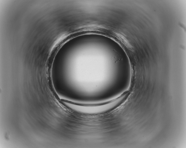X0000096431164200801241332