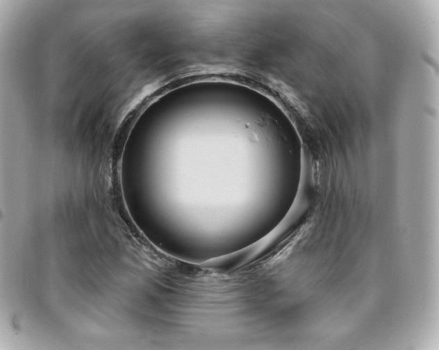 X0000096431165200801241332
