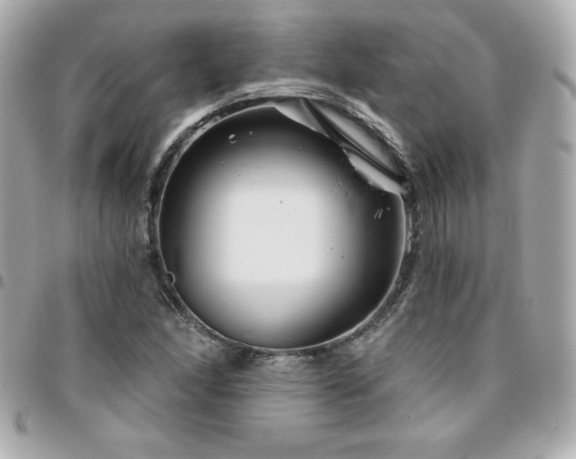 X0000096431166200801241332