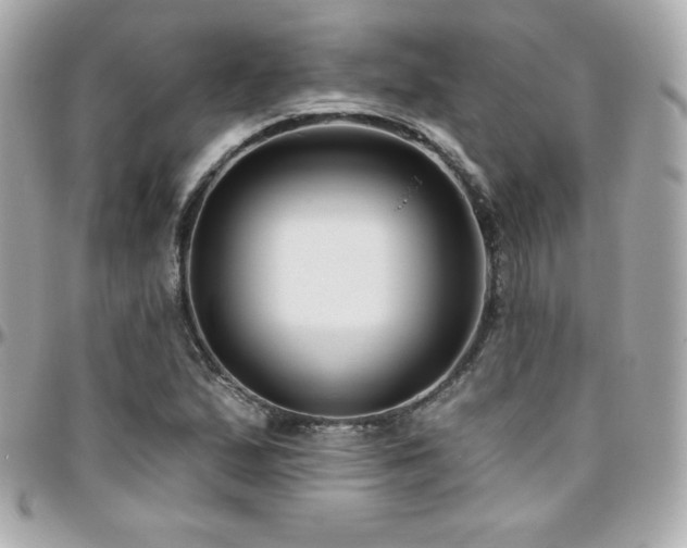 X0000096431167200801241332