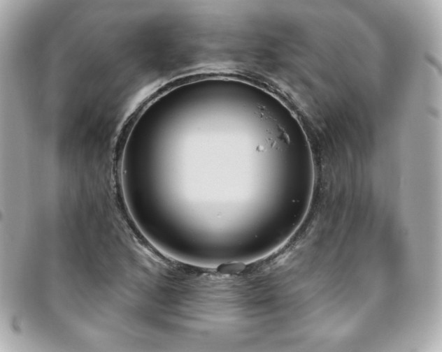 X0000096431168200801241332