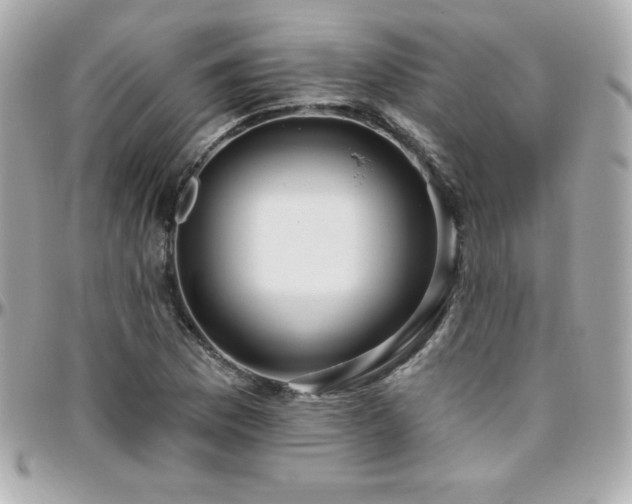X0000096431169200801241332