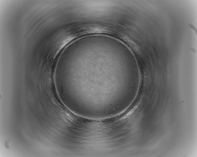 X0000096431170200801241332