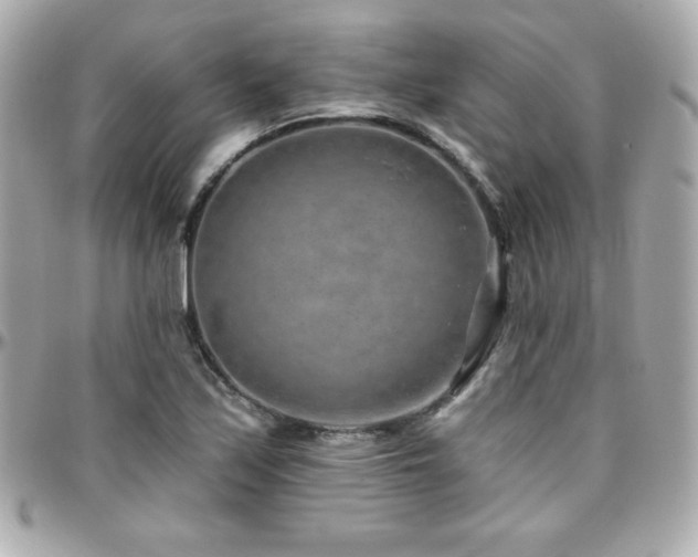X0000096431171200801241332