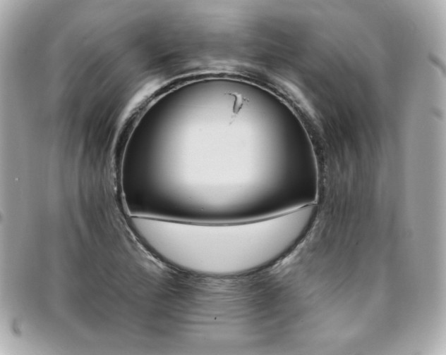 X0000096431172200801241332