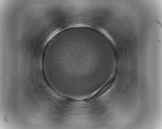 X0000096431173200801241332