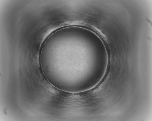 X0000096431174200801241332