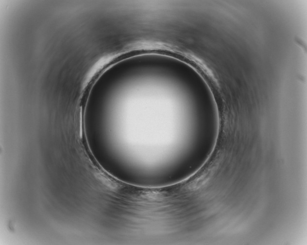 X0000096431175200801241332