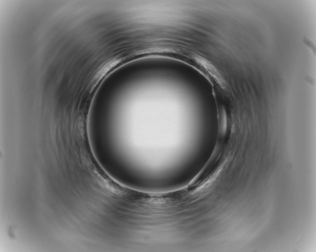X0000096431177200801241332