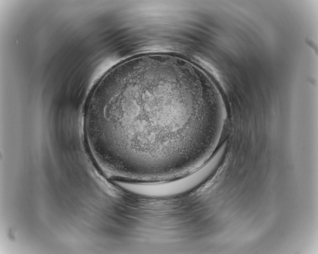 X0000096431179200801241332