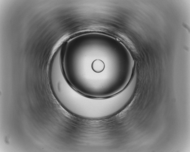 X0000096431180200801241332