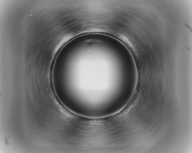 X0000096431181200801241332