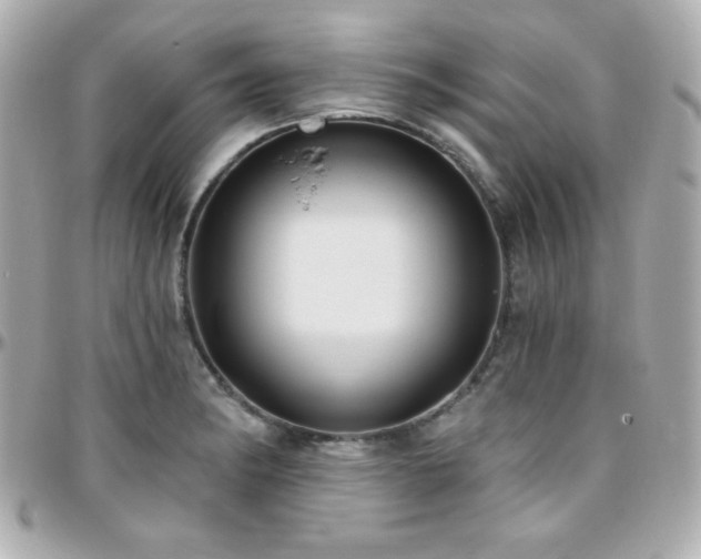 X0000096431182200801241332
