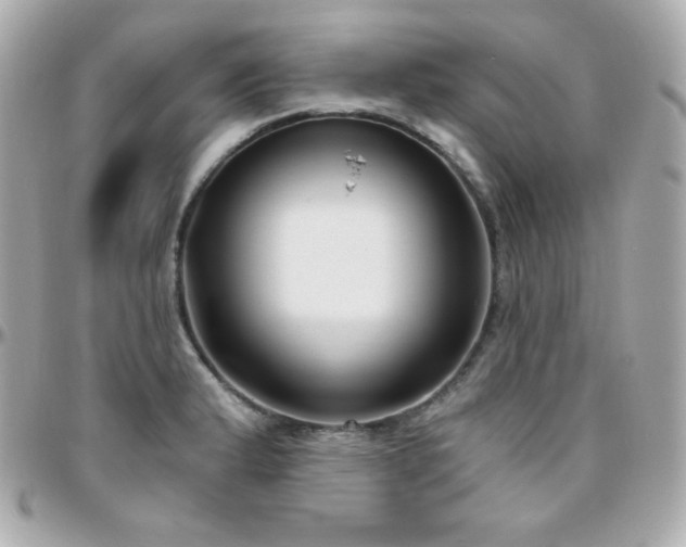 X0000096431183200801241332