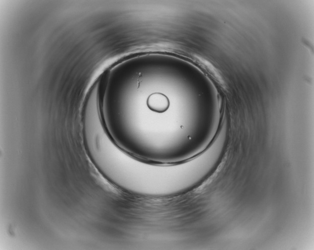 X0000096431184200801241332