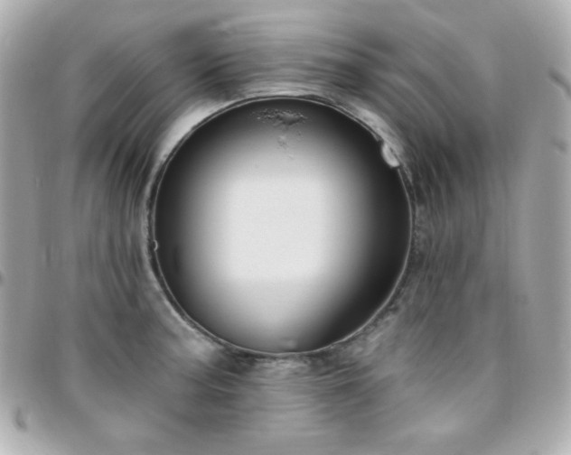 X0000096431187200801241332