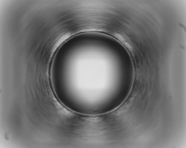X0000096431189200801241332