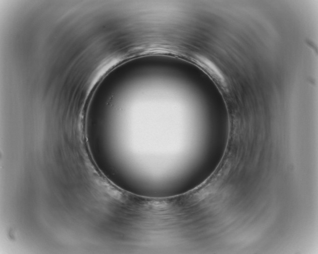 X0000096431190200801241332