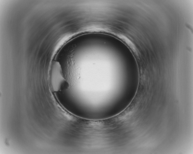 X0000096431191200801241332