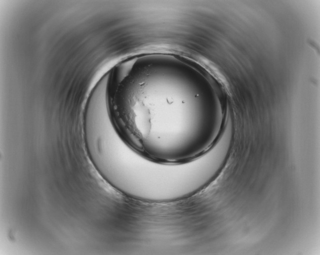 X0000096431192200801241332