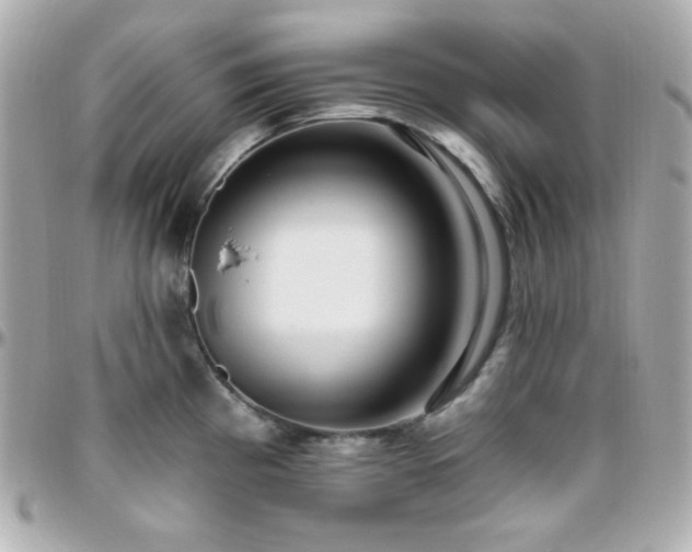 X0000096431193200801241332
