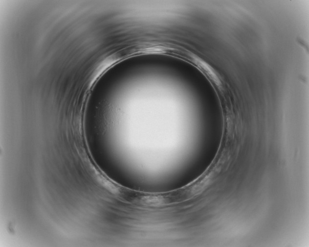 X0000096431194200801241332