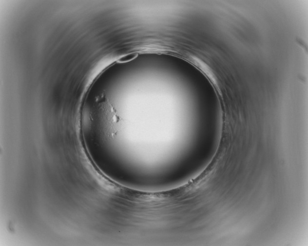X0000096431195200801241332