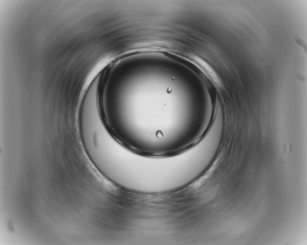 X0000096431196200801241332