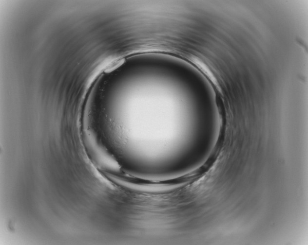 X0000096431197200801241332