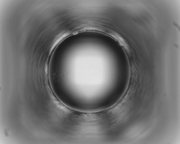 X0000096431198200801241332