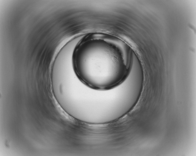 X0000096431200200801241332