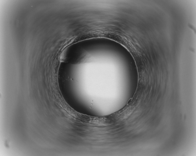 X0000096431201200801241331