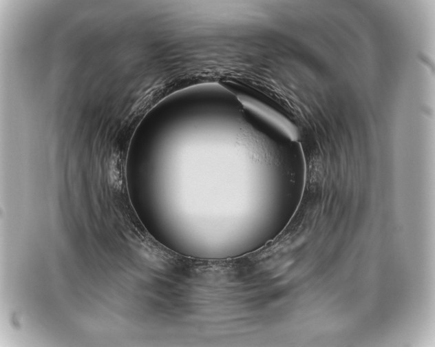 X0000096431202200801241331