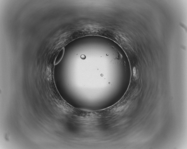 X0000096431203200801241331