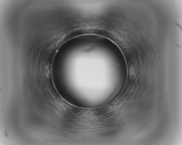X0000096431204200801241331
