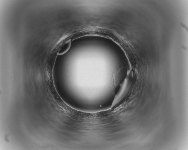 X0000096431206200801241331