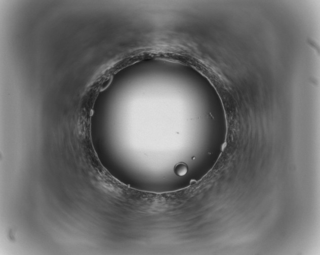 X0000096431207200801241331