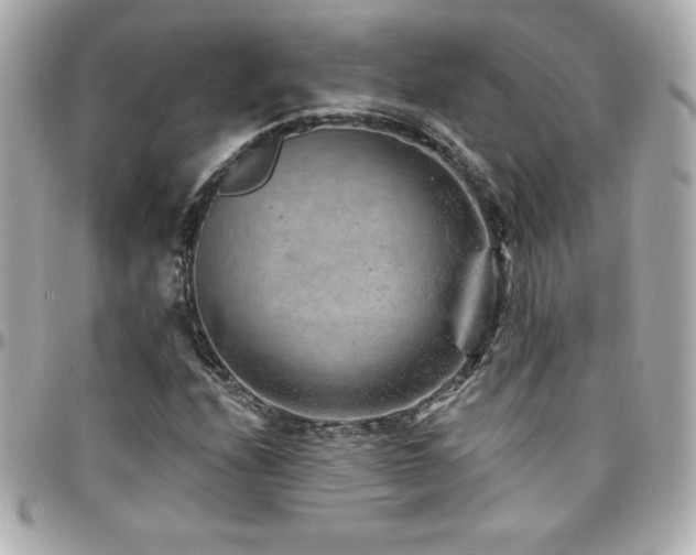 X0000096431208200801241331