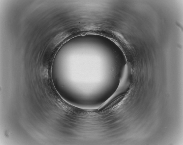 X0000096431209200801241331