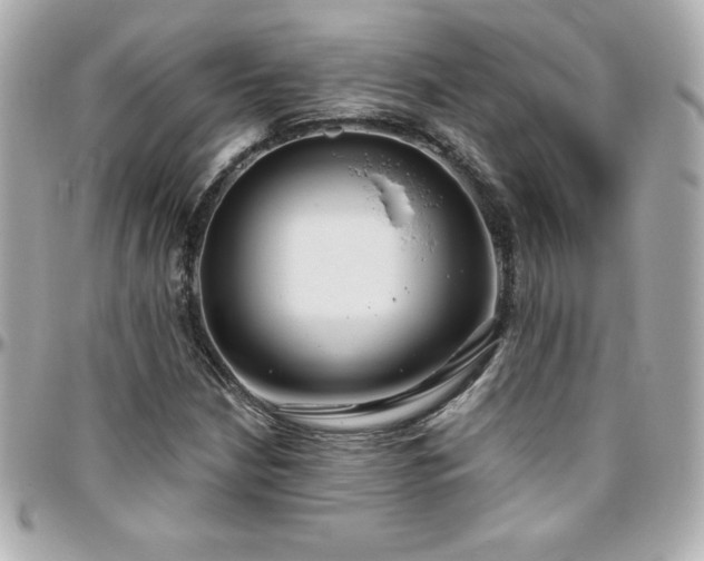 X0000096431210200801241331