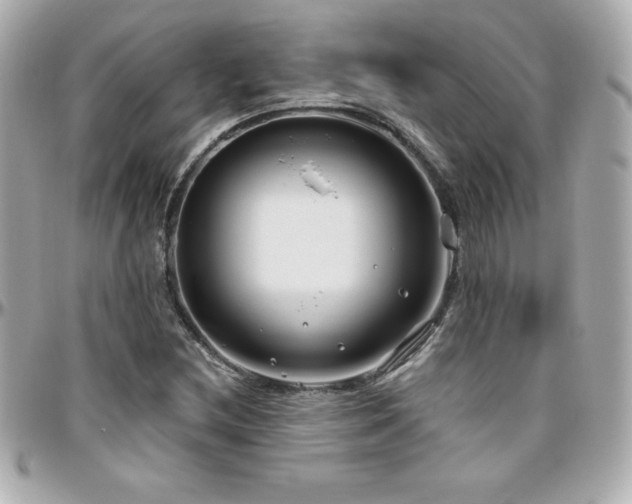 X0000096431212200801241331